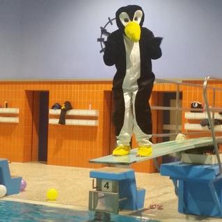 Pinguin-Kost&uuml;mtr&auml;ger steht auf einem Sprungbrett &uuml;ber einem Schwimmbecken. Bunte Wasserballs sind im Wasser.