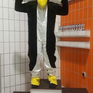 Pinguin-Maskottchen mit erhobenen Armen steht auf dem ersten Platz eines Siegerpodests in einer Sportumgebung.