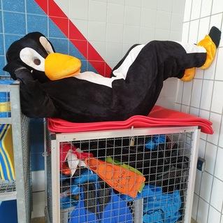 Pinguin-Kost&uuml;mtr&auml;ger liegt entspannt auf einer roten Unterlage in einem Schwimmbadbereich, umgeben von verschiedenen Schwimmmaterialien.