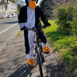 Person in Pinguin-Kost&uuml;m f&auml;hrt auf einem Mountainbike entlang einer Stra&szlig;e, umgeben von B&auml;umen und Wohngeb&auml;uden.