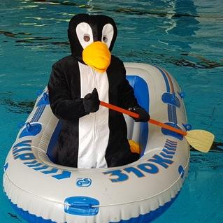 Pinguin in einem Boot paddelt im Wasser eines Schwimmbads.