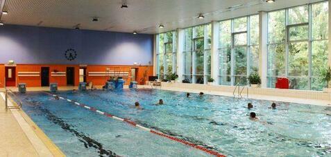 Innenansicht eines Schwimmbeckens mit mehreren Schwimmern und gro&szlig;en Fenstern zur begr&uuml;nten Au&szlig;enansicht.